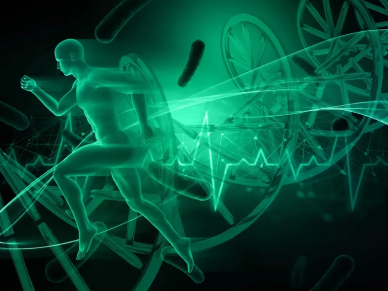 Représentation colorée du microbiote intestinal chez un sportif en activité